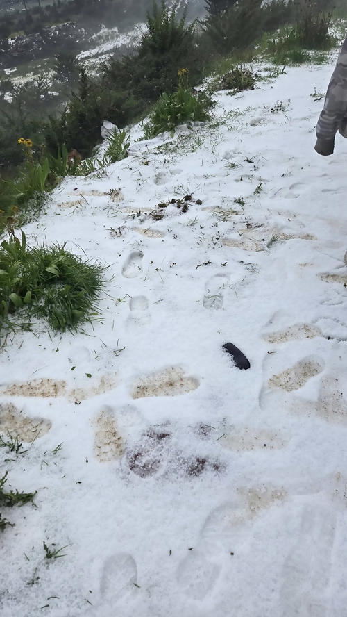 (Foto: Maynor Mérida/Nuestro Diario)