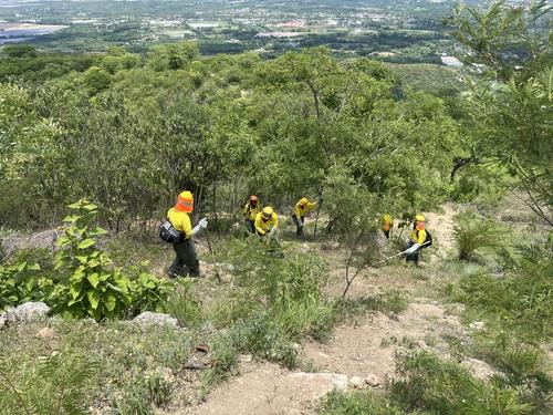 Brigadas forestales enfrentan incendios en la Sierra de las Minas, hogar de cientos de especies y fuente vital de agua. (Foto: Sandra Sebastián/Colaboradora)
