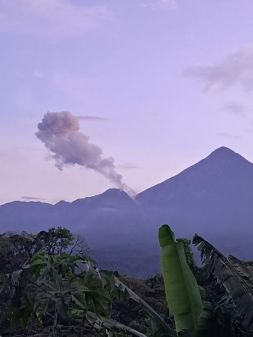 Las columnas de gas y ceniza del volcán Santiaguito alcanzan hasta los 700 metros de altura. (Foto: Conred)
