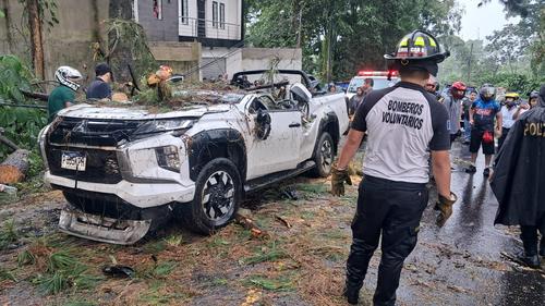 Los elementos bomberiles retiraron el árbol y atendieron al conductor. (Foto: Bomberos Voluntarios)