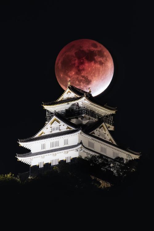 Eclipse lunar sobre el Castillo de Gifu, ubicado en Japón. (Foto: Hiroaki Sekioka)