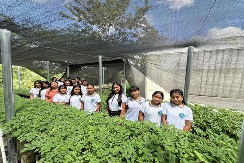 Algunos estudiantes participaron en la primera jornada de reforestación. (Francisco Portillo/Colaborador)