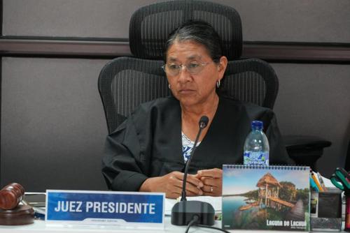  TSE, exdirector, informática, sustitutiva