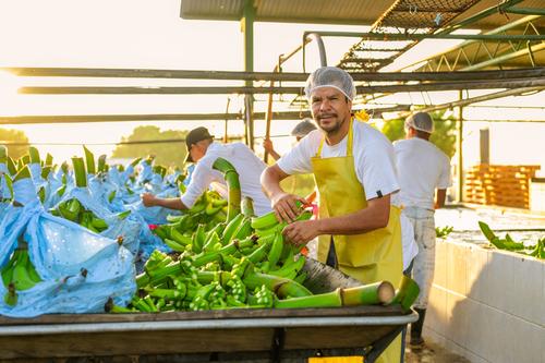 Una empresa es considerada grande cuando emplea arriba de 201 personas y sus ventas anuales superan los 15 mil 421 salarios mínimos. (Foto: Shutterstock)