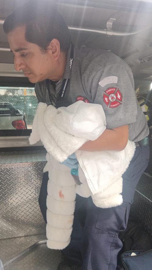 Los Bomberos Aeronáuticos fueron quienes asistieron a la madre en la labor de parto. (Foto: DGAC)