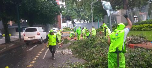 Equipo de Limpia y Verde colabora en limpieza y liberación de paso vehicular. (Foto: Ricardo Quiñónez)