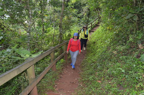 Para disfrutar de la vegetación del volcán, el lugar cuenta con senderos señalizados. (Foto: Juan Carlos Aquino/Colaborador)
