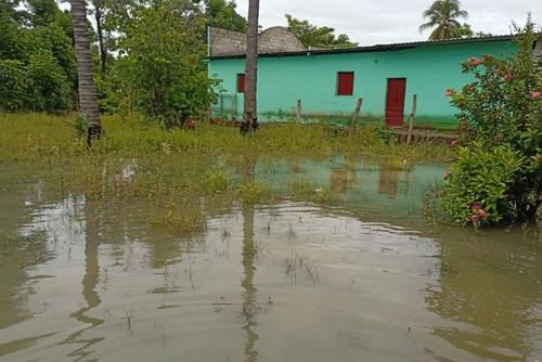 Conred, afectadas, lluvias, muertes