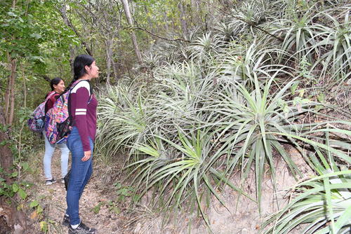 Los visitantes pueden observar variedad de especies en el bosque seco. (Foto: Juan Aquino/Colaborador)