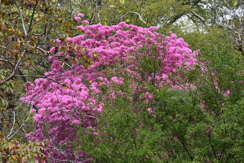 Se puede apreciar la belleza natural del lugar. (Foto: Juan Aquino/Colaborador)