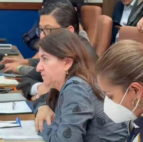 La ministra de Cultura, Liwy Grazioso, respondió los cuestionamientos de varios diputados, por el pago publicaciones en redes sociales. (Foto: Captura de pantalla)
