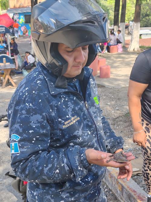 (Foto: Policía Municipal Forestal de la Municipalidad de Mixco)