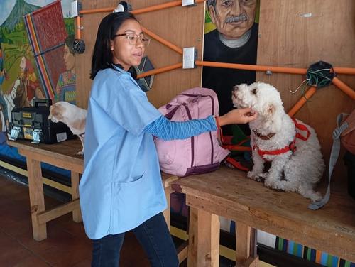 La actividad arrancará el domingo 12 y lunes 13 de octubre en El Carmen. (Foto: archivo)