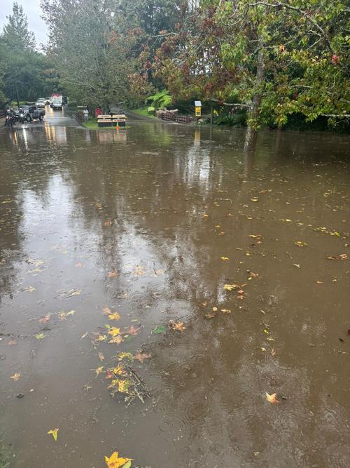 Las calles se cubrieron de agua y evitaban que los automovilistas avanzaran. (Foto: redes sociales)