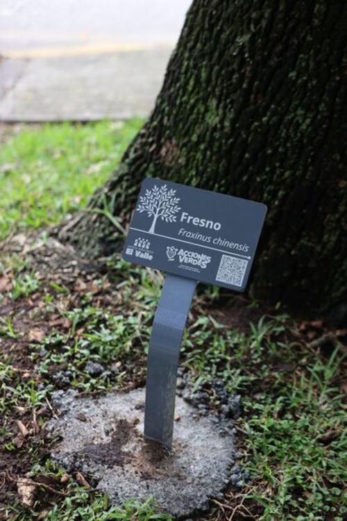 Colocaron códigos QR para que los vecinos conozcan datos de los árboles sembrados en la avenida Reforma. (Foto: cortesía Municipalidad de Guatemala)