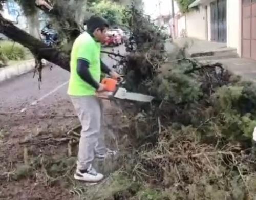 (Foto: Amilcar Montejo)