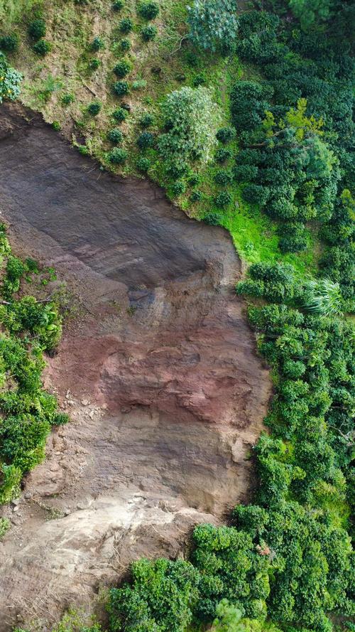 El derrumbe fue ocasionado por las intensas lluvias de las últimas horas. (Foto: Covial)