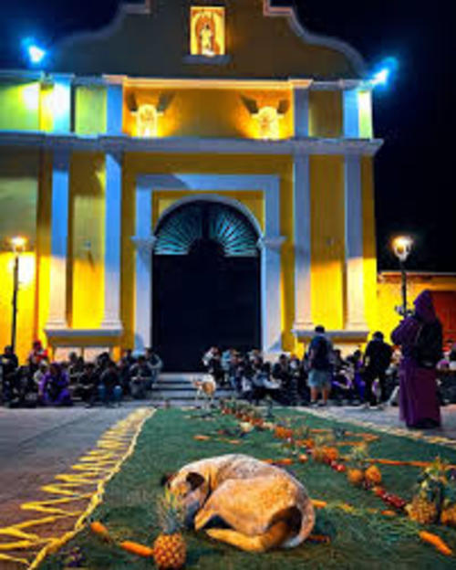 Manchas, conocido como el perrito de las procesiones. (Foto: Redes Sociales)