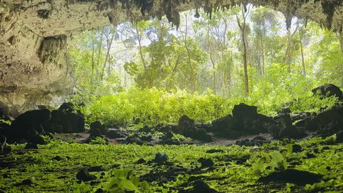 Esta es la impresionante vista desde adentro de la cueva. (Foto: Estuardo Jim&eacute;nez/Colaborador)