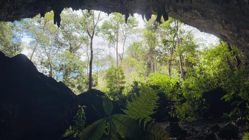 La selva petenera rodea la Cueva del Convento, preservando su tranquilidad. (Foto: Estuardo Jim&eacute;nez/Colaborador)