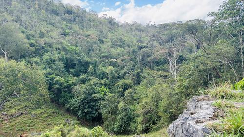En medio de esta selva se encuentra escondida la majestuosa cueva de El Convento. (Foto: Estuardo Jim&eacute;nez/Colaborador)