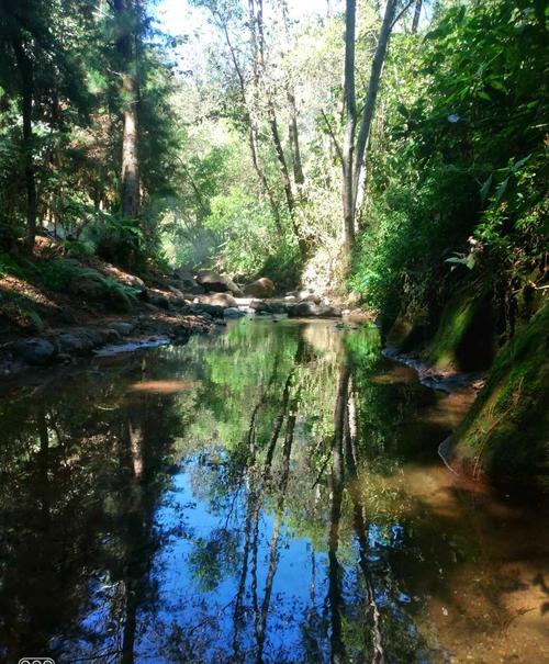 Es un sitio ideal para distraerse del ajetreo urbano. (Foto: Carlos Sotz/Colaborador)