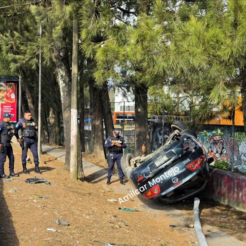 (Foto: Am&iacute;lcar Montejo)