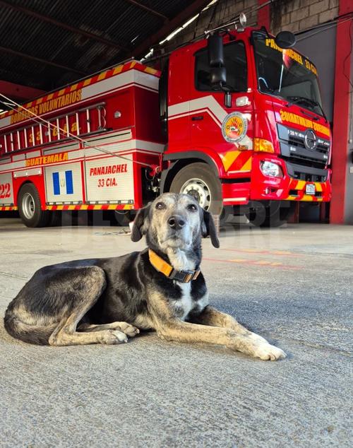(Foto: Bomberos Voluntarios)