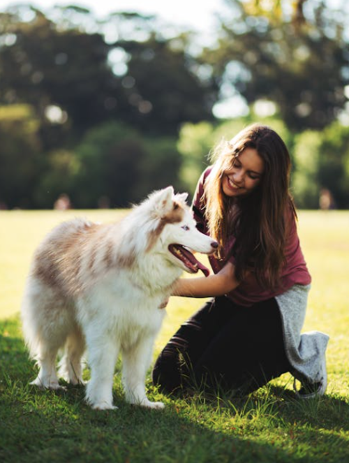 mascotas solas estres 3