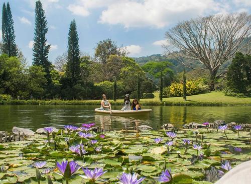 El camino es dif&iacute;cil, pero esta vista hace que cada kil&oacute;metro valga la pena. (Foto: Finca El Zapote)