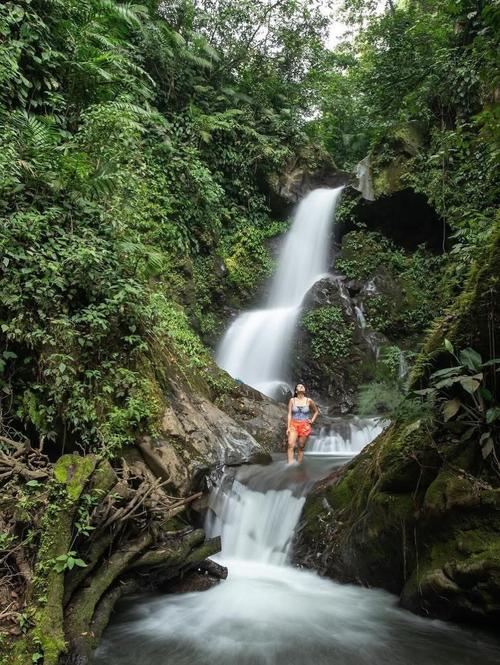 Aqu&iacute; el &uacute;nico ruido es el del agua corriendo y los p&aacute;jaros cantando. (Foto: Finca El Zapote)