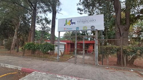 Se coordin&oacute; para que los animales pudieran ser alimentados y atendidos. (Foto: Jos&eacute; Luis Pos/Colaborador)