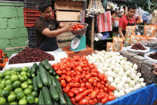 Los datos del INE reflejan tendencias t&eacute;cnicas, no precios exactos en cada mercado, seg&uacute;n la Diaco. (Foto: Archivo/Soy502)