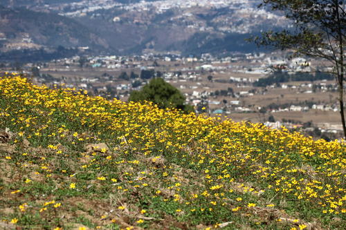 Puedes disfrutar de las flores y del paisaje. (Foto: Oswaldo Cop/Colaborador)