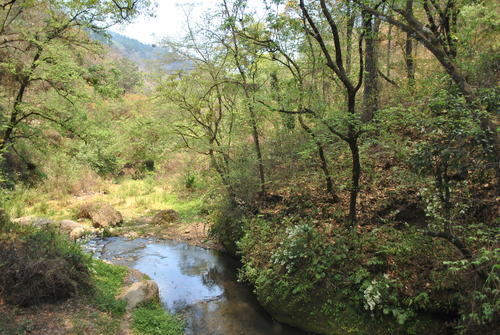 El silencio invita a la contemplaci&oacute;n y la meditaci&oacute;n. (Foto: Carlos Sotz/Colaborador)