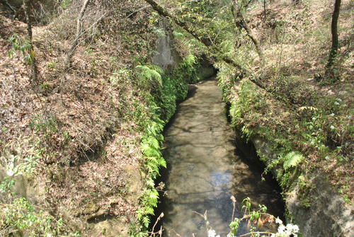 Aguas cristalinas recorren las &aacute;reas verdes; desde esta zona hay nacimientos. (Foto: Carlos Sotz/Colaborador)