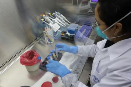 Ministerio de Salud, Laboratorio Nacional de Salud, ataque cibernético, 02