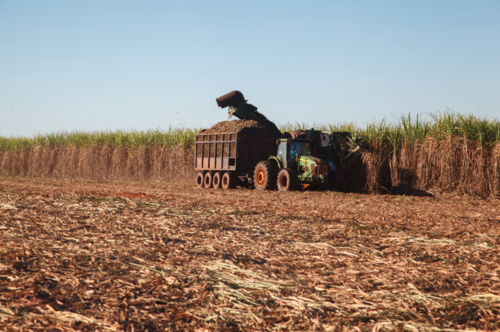 El E10 es un biocombustible que entre sus elementos tiene algunos producidos directamente en el campo. (Foto: Shutterstock)