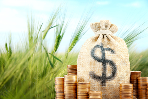 Productores nacionales deben absorber el recargo arancelario global por el momento. (Foto: Canva/Soy502)