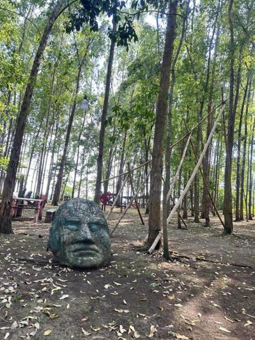 El bosque de eucaliptos de Calyptus Park se consolida como el principal pulm&oacute;n verde de Malacat&aacute;n. (Foto: Calyptus Park)
