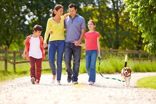 Los paseos son una buena forma de conectarse. (Foto: Shutterstock)