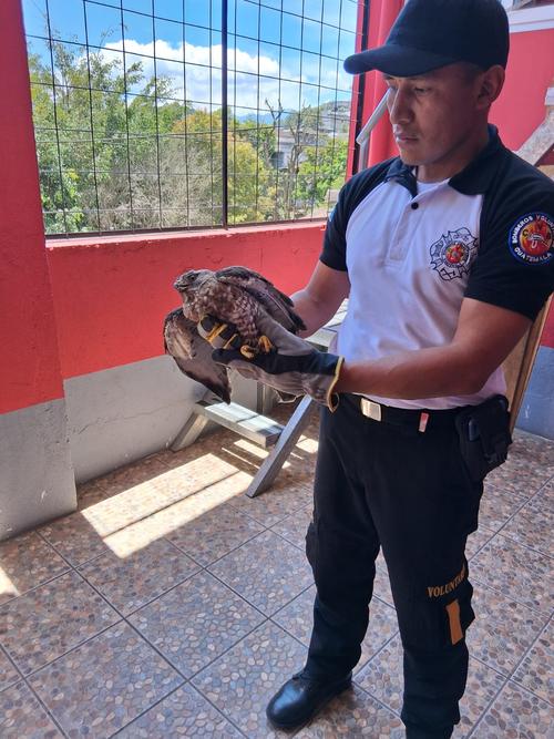 (Foto: Bomberos Voluntarios)