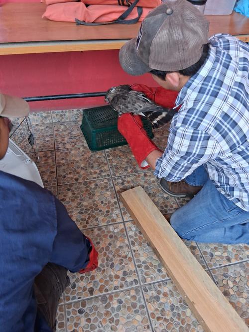 (Foto: Bomberos Voluntarios)