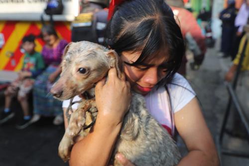 (Foto: Bomberos Municipales)