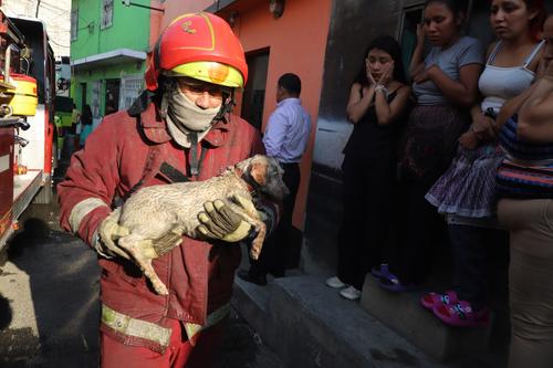 (Foto: Bomberos Municipales)