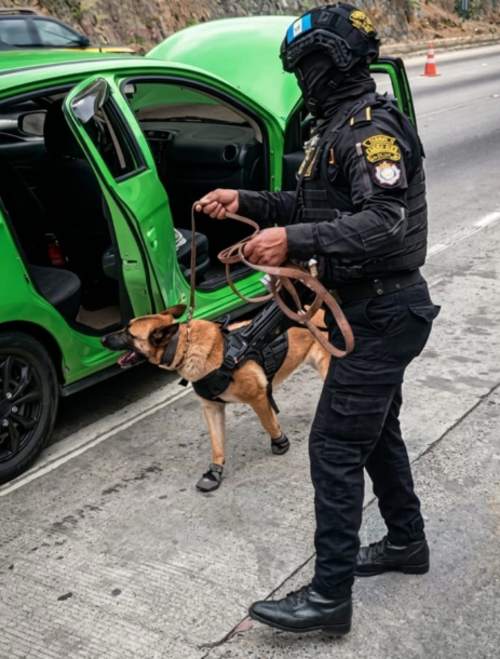 La agente canina localiz&oacute; los il&iacute;citos. (Foto: PNC)