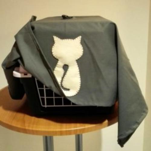 c&oacute;mo transportar a tu gato