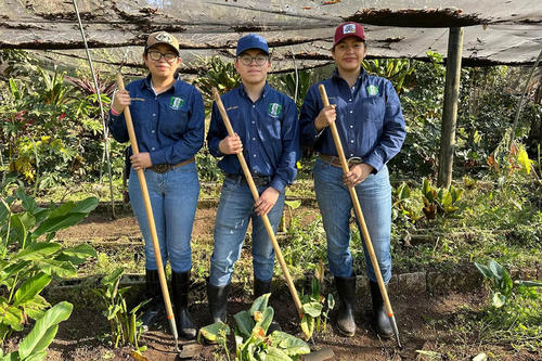 J&oacute;venes se preparan para examen de admisi&oacute;n. (Foto: MAGA)