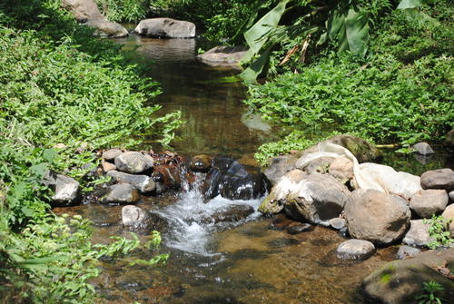 Se busca la recuperaci&oacute;n del &aacute;rea como paraje natural. (Foto: Carlos Sotz/Colaborador)