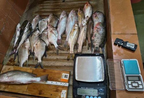 El MAGA detalla zonas y especies en que no se pueden pescar en Izabal. (Foto: Cortes&iacute;a MAGA)